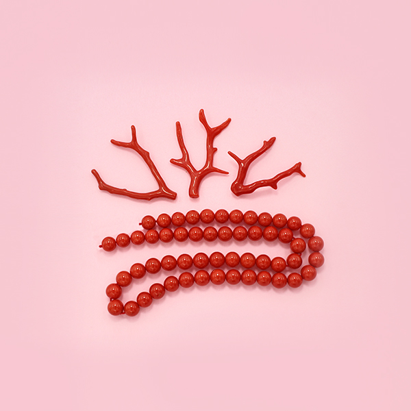 Corallo