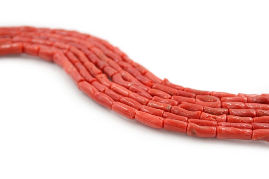 Corallo Mediterraneo fili cilindri 5x10mm