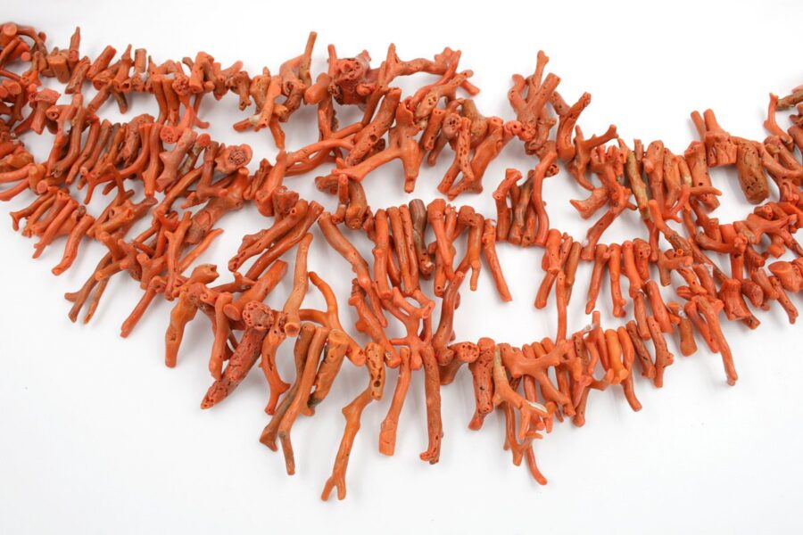 Corallo Mediterraneo fili frange - immagine 3