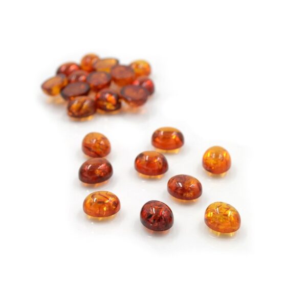 Ambra Baltica spole ovali 14x10mm