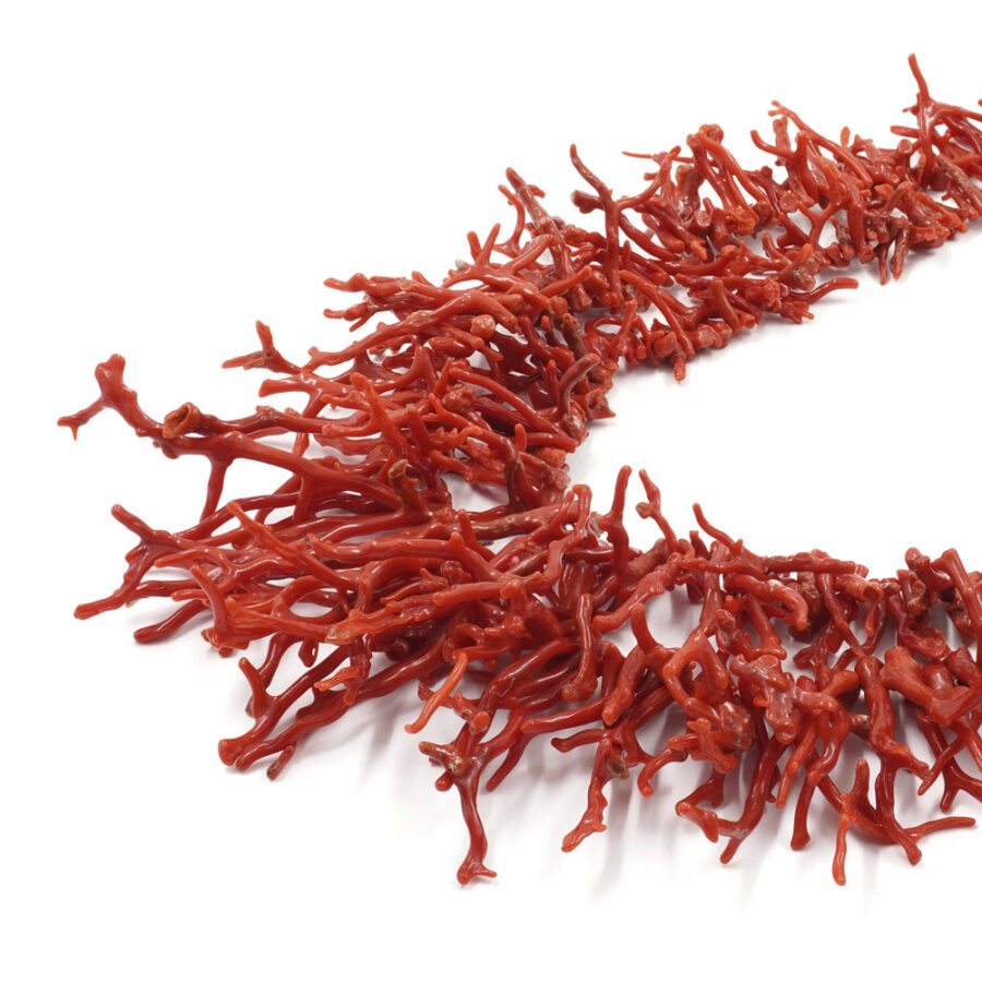 Corallo Mediterraneo fili frange ~130,00gr