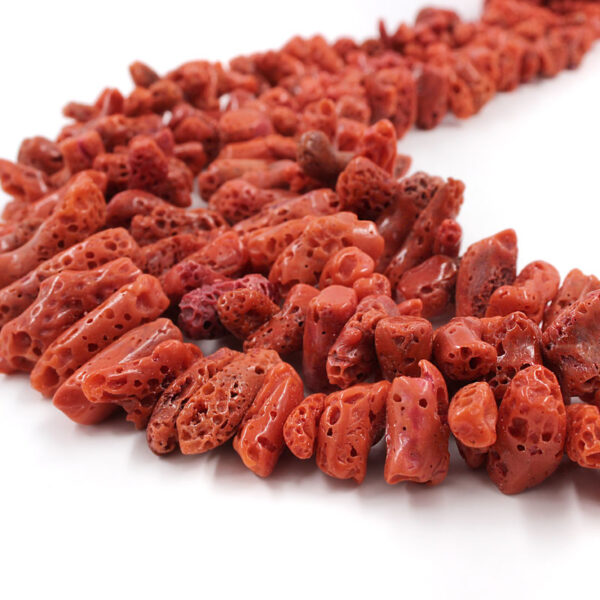 Corallo Mediterraneo fili cupoloni