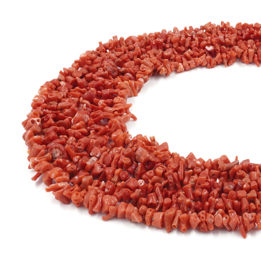Corallo Mediterraneo fili chips