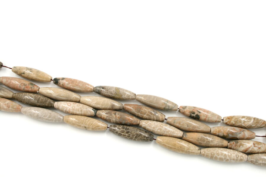 corallo fossile fili olive 40x12mm
