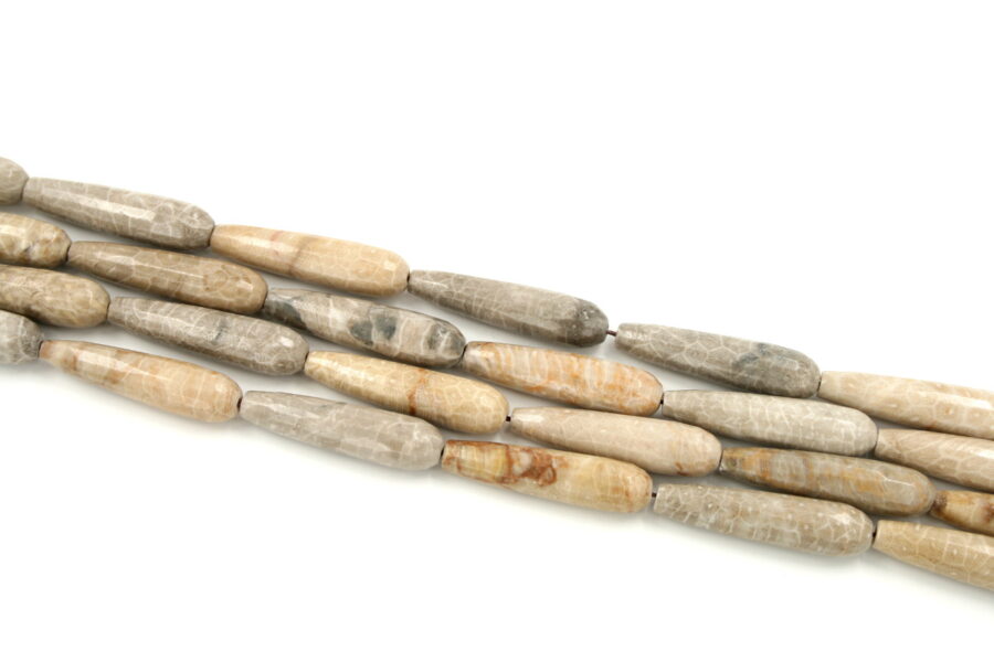 corallo fossile fili drop sfaccettati 40x10mm