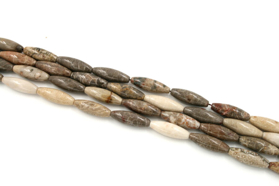 corallo fossile fili olive 30x10mm
