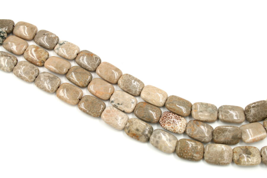 corallo fossile fili rettangoli 25x18mm