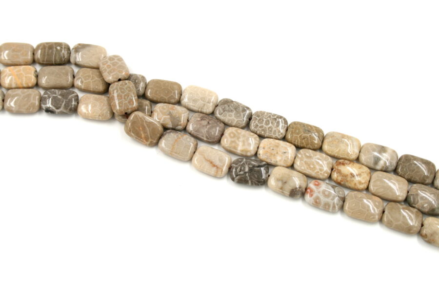 corallo fossile fili rettangoli 18x13mm