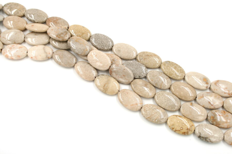 corallo fossile fili flat oval 30x20mm