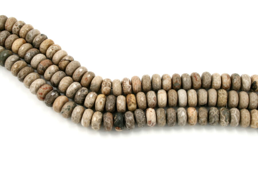 corallo fossile fili rondelle sfaccettate 18x10mm
