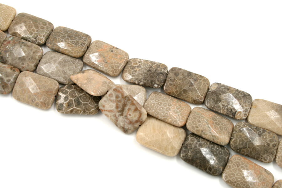 corallo fossile fili rettangoli sfaccettati 35x25m