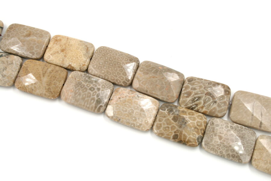 corallo fossile fili rettangoli sfaccettati 40x30m
