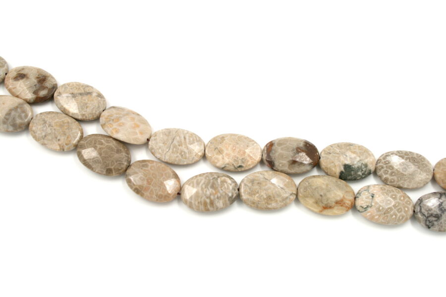 corallo fossile fili flat oval sfaccettati 30x22mm