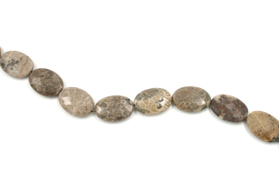 corallo fossile fili flat oval sfaccettati 35x25mm