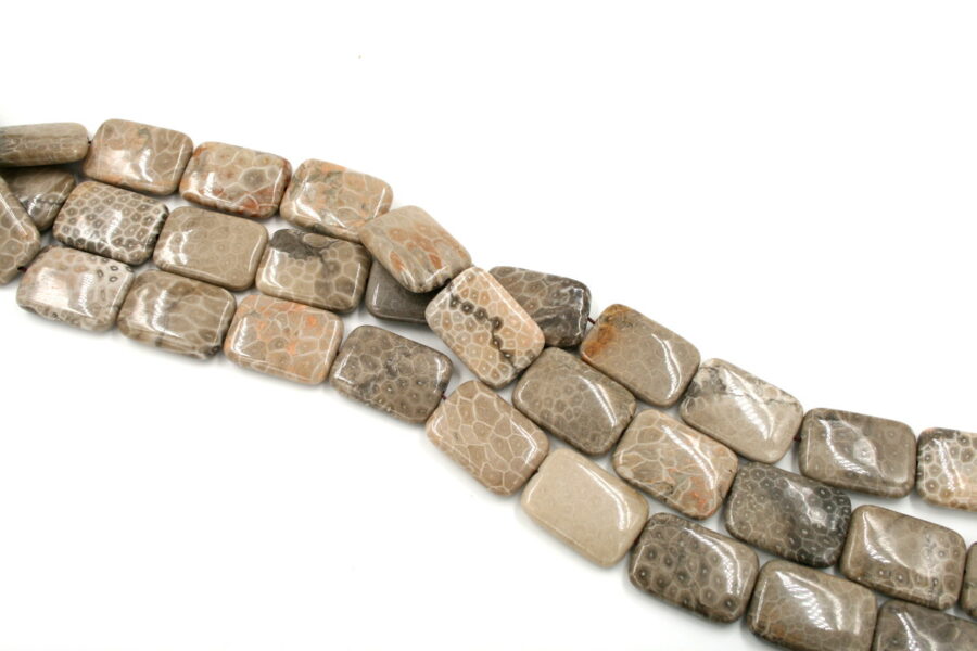 corallo fossile fili rettangoli 35x25mm