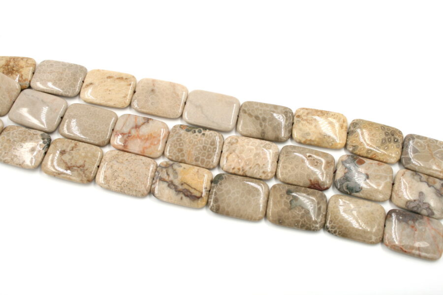 corallo fossile fili rettangoli 40x30mm