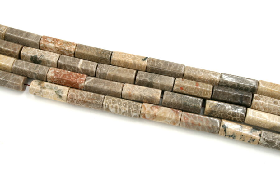corallo fossile fili cilindri esagonali 30x12mm