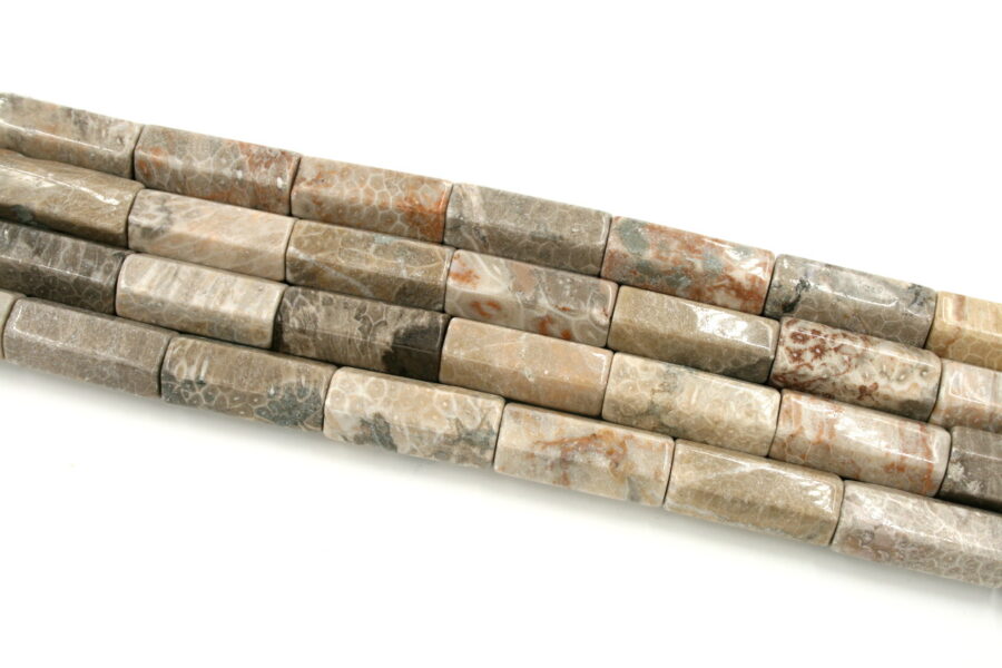 corallo fossile fili cilindri esagonali 40x16mm