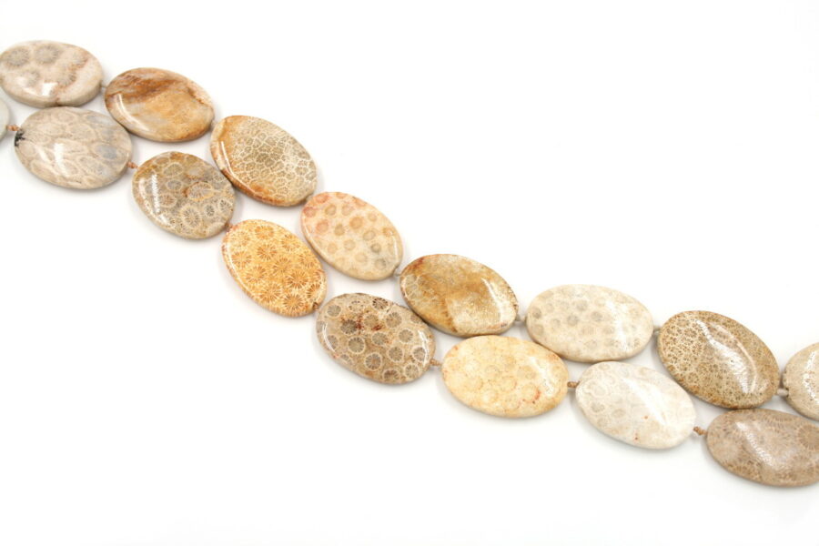 corallo fossile fili flat oval misure varie