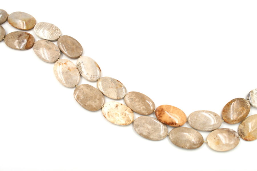 corallo fossile fili flat oval 35x22mm +/-
