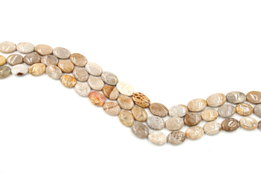 corallo fossile fili flat oval 20x15mm +/-