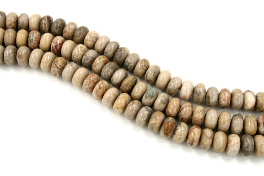 Corallo fossile fili rondelle 18x10mm