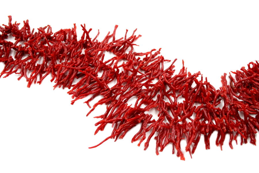 Corallo Mediterraneo fili frange ~40,00gr - immagine 2