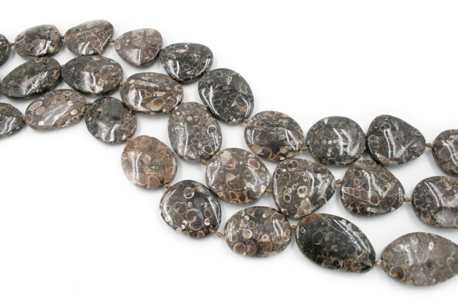 Turitella fili misure varie (43/40x30/28mm)