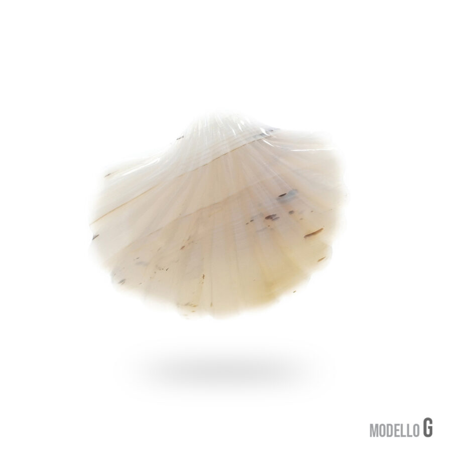 Pendente in agata muschiata, agata grigia, ossidiana forma conchiglia 60x45mm – Foro Posteriore - immagine 7