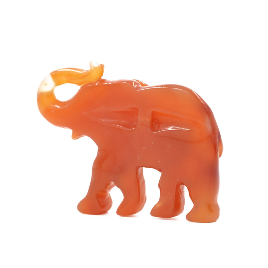 Pendente in agata rossa, diaspro, inciso a forma di elefante 55x45mm – Foro Posteriore - immagine 6