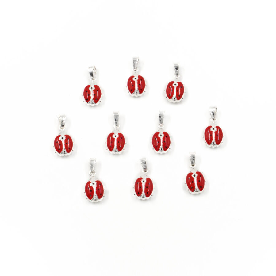 Argento 925 ciondolo coccinella portafortuna – Smaltato