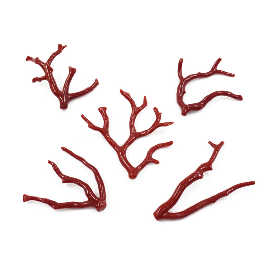 Rami di Corallo Mediterraneo da 7,00gr a Salire – Colore Scuro