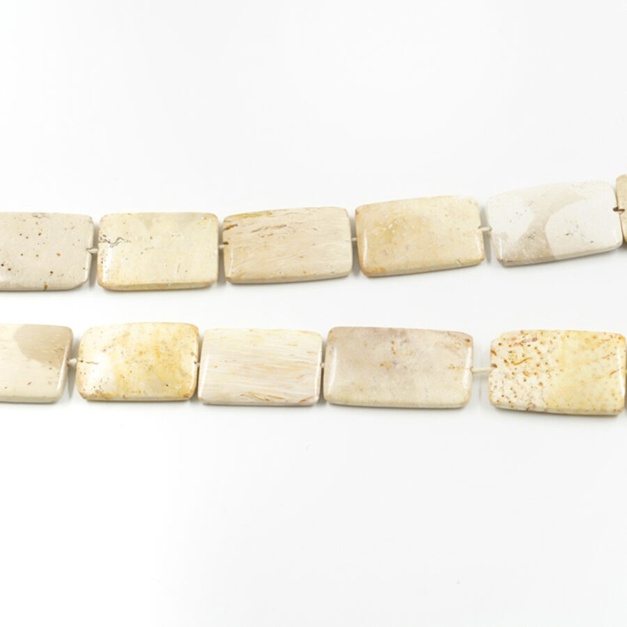 Palm Jasper fili rettangoli ~35x28mm
