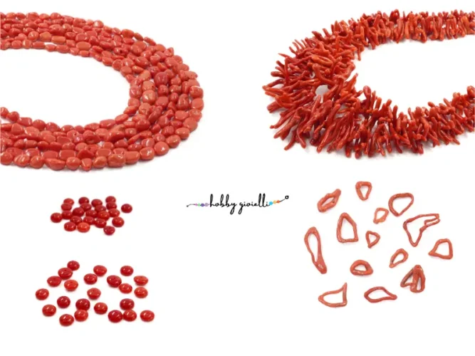 Il Corallo: Tutto quello che Devi Sapere