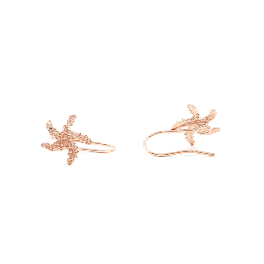 Argento 925‰ orecchini stella marina 14mm con gancio – Rosè