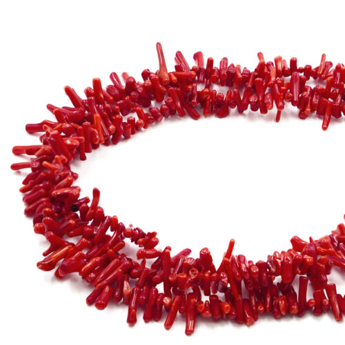 Corallo Bambù: Caratteristiche, Utilizzi e Fascino di un Materiale Unico.