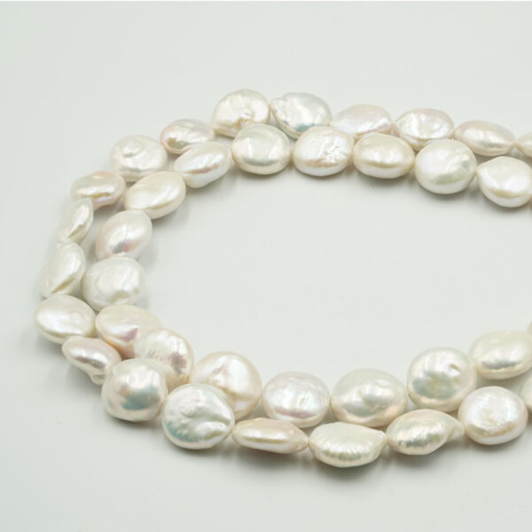 Perle Acqua Dolce fili monete 13-14mm - FWP4225